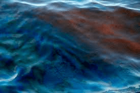 contaminacion marina 2