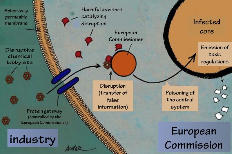 teatro de los disruptores endocrinos